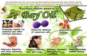 It can promote hair growth when applied regularly within a proper beauty and care routine. Health Benefits Of Bay Oil Essential Oil