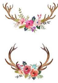 Pin By Brooke Burns On Transfer Antler Feather Items In 2020 Watercolor Flowers Paintings Antler Art Drawing Deer Painting