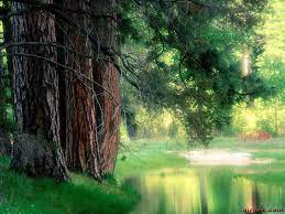 Tapety Na Plochu 3d Tapety Na Monitor Zdarma Super Tapety Na Plochu Pc Wallpapers Pozadi Na Monitor Obrazky Yosemite National Park Nature Wallpaper Nature
