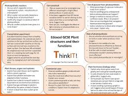 Maybe you would like to learn more about one of these? Edexcel Gcse Plant Structures And Their Functions Ppt Download