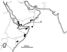 Image result for Ormocarpum schliebenii