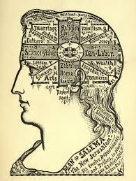 Map Your Murderousness With These 19th Century Brain Charts Brain Art Book Of Life Map Art