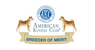 He is vet checked, vaccinated, wormed and comes with a 1 year genetic health guarantee. National Shiba Club Of America