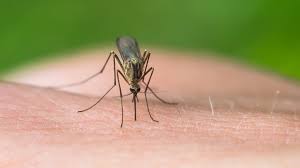 In plus, aceasta apa de gura cu bicarbonat de sodiu poate ajuta la reimprospatarea respiratiei si are multiple. Bicarbonat De Sodiu Pentru Tantari Despre ViaÈ›a Din Romania