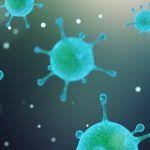 Occasionally, hpv that was dormant can become active again and may start to cause cervical cell changes. Pin On Hpv