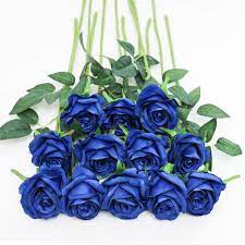 We did not find results for: Tifuly 12 Pcs Artificial Roses 19 68 Single Long Stem Fake Rose Silk Bridal Wedding Bouquet Realistic Flower For Home Garden Party Hotel Office Decor Blossom Roses Blue Buy Online In Dominica At Dominica Desertcart Com Productid
