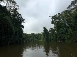 Tropical rain forest of Tortoghero