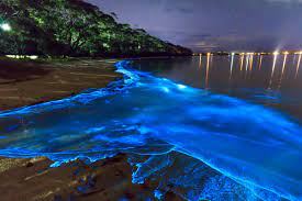 Islas locales, resorts, combinaciones, buceo, surf. Vaadhoo La Playa Brillante De Las Maldivas El Blog De Aerobus