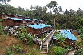2 x snorkeling trips with equipment. Pulau Perhentian The Life Journey