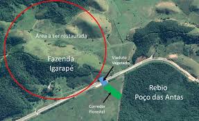 It is also known as a habitat corridor or a green corridor. Ngos Acquire Land In Brazil To Create Wildlife Corridor