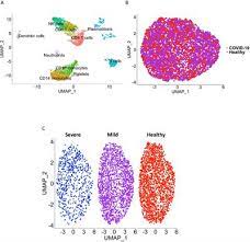 Maybe you would like to learn more about one of these? Frontiers Transcriptional Changes In Cd16 Monocytes May Contribute To The Pathogenesis Of Covid 19 Immunology