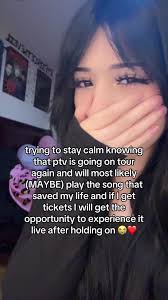 Pierce The Veil Concert Experience: Tour Insights