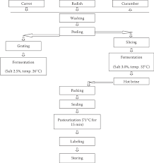 7 generalized flow chart of the production of lactic acid