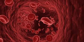 Image result for Anticoagulation