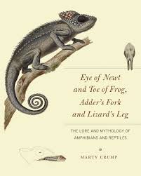 Justin bieber is probably not a giant reptile. Eye Of Newt And Toe Of Frog Adder S Fork And Lizard S Leg The Lore And Mythology Of Amphibians And Reptiles Crump
