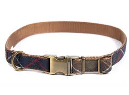 With location and activity tracking, these wearable trackers and collars can help make sure your dog or cat is. Best Dog Collars That Make Sure Your Pet Always Looks On Point The Independent