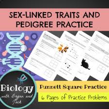 Genetics pedigree worksheet answer key, genetics pedigree worksheet answer key and pedigree charts worksheets answer key are some main things we will present to you based on the gallery title. Pedigree Worksheet With Answers Teachers Pay Teachers