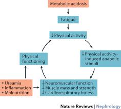 Active travel is highly affected by such factors as season, weather and time of day. Physical Inactivity A Risk Factor And Target For Intervention In Renal Care Nature Reviews Nephrology