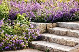 How Much Does It Cost To Redo Stairs The Period House Guru Garden Stairs Redo Stairs Patio And Garden