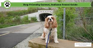 Found 2077 pets and animals ads from indiana, us. Dog Friendly Carmel Indiana Dog Friendly Hamilton County Indiana Travel Guide Raising Your Pets Naturally With Tonya Wilhelm