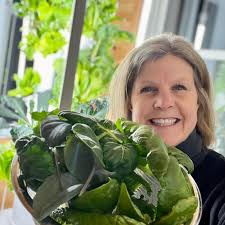 Jodi-Lee Nutrition & Wellness