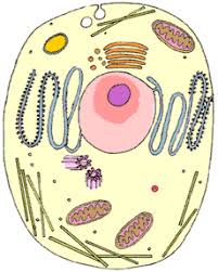 Maybe you would like to learn more about one of these? Lab Manual Exercise 3e