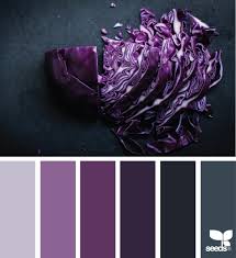 Black Colour Combination With Dark Purple Color Schemes Purple Color Palettes Design Seeds