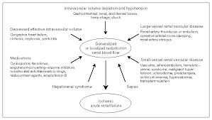 Image result for Postrenal Failure