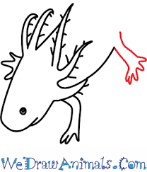 Are you looking for cute cartoon axolotl drawing ideas? How To Draw An Axolotl