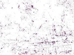 Aja Chambers, Charlottesville City Schools