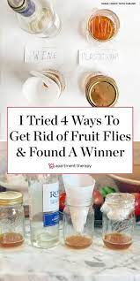 I Tested 4 Zero Cost Methods For Trapping Fruit Flies In The Kitchen And Found One Clear Winner Diy Fruit Fly Trap Fruit Fly Trap Fruit Flies