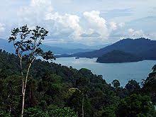 Lokasi tasik semula jadi terbesar di malaysia. Kenyir Lake Wikipedia