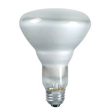 Philips 139279 Soft White 65 Watt Br40 Indoor Flood Light Bulb 2 Pack Incandescent Bulbs Amazon Com