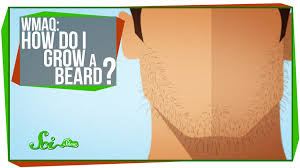 Are you looking for some guidance on how to grow a beard? World S Most Asked Questions How Do I Grow A Beard Kidpid