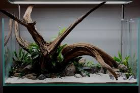 Wwwdriftwoodwarehousecom Driftwoodwarehouse Driftwood Substrate Stunning Aquarium Plants Rocks Open Wi Live Aquarium Plants Planted Aquarium Aquarium