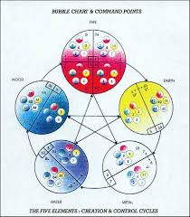 Veterinary Acupuncture