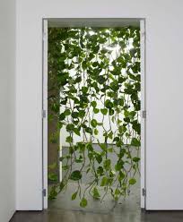 New Beaded Curtains Vines Plants Hanging Plants House Plants