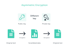 Likewise, it is impossible to derive the private key from the public key. What Are Public Keys And Private Keys Ledger