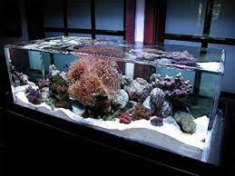 Silica Sand In Aquarium Acquario Da Casa Decorazioni Per Acquario Acquari Con Serbatoio