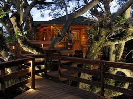 Browse our favorite tree house ideas for kids that you can replicate yourself. 10 Best Treehouse Plans And Designs Coolest Tree Houses Ever