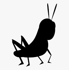 Cricket Insect Png Cartoon Cricket Insect Transparent Png Transparent Png Image Pngitem