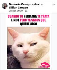 Instagram photo by Damaris Crespo • Nov 28, 2024 at 7:59 PM