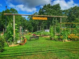 Check spelling or type a new query. Top Ways To Decorate Your Garden The House Shop Blog