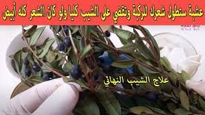 عشبة ربانية تطول شعرك للركبة وتقضي على الشيب كليا ولو كان الشعر كله ابيض والنتيجة من الاستعمال الاول youtube hair care oils skin care women hair care recipes