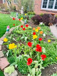 Check spelling or type a new query. Pallavi S Garden In Illinois Finegardening