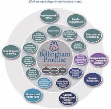 organizational chart bellingham public schools