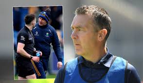 Wicklow boss Oisin McConville banned after verbally abusing referee