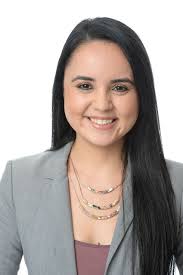 Introducing the Project