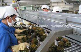 China Complete Pineapple Juice Processing Line Equipment