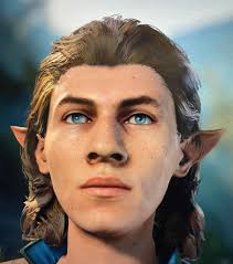 Are the 2025 Wizards and Wizard Ls what people consider a "R" and "L" now?  So do the 2025 Wizards have a mixed fill but at a regular weight? I don't  like